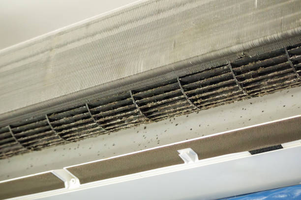 Best Ventilation System Cleaning in Luray, VA